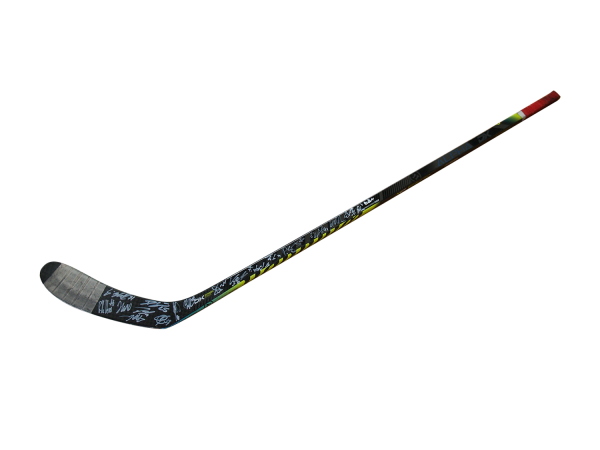 Original Game Used Stick - Thiel