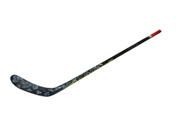 Original Game Used Stick - Thiel